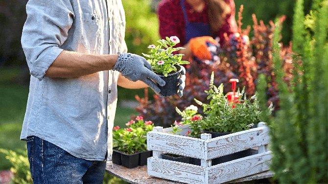 How to Keep Your Garden Centre Thriving