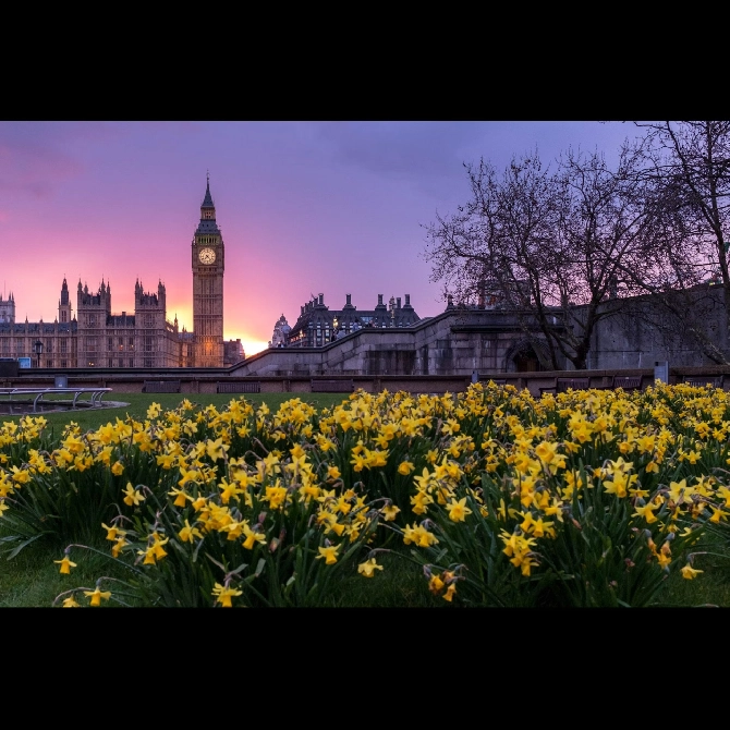 From Bud to Bloom: The Evolution of Flower Delivery Services as Thriving SMEs in the UK