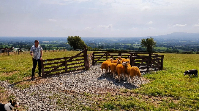 An Authentic Insight into Northern Irish Farming