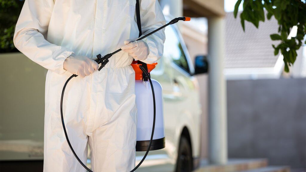 5 Business Basics for Starting Your Own Pest Control Company