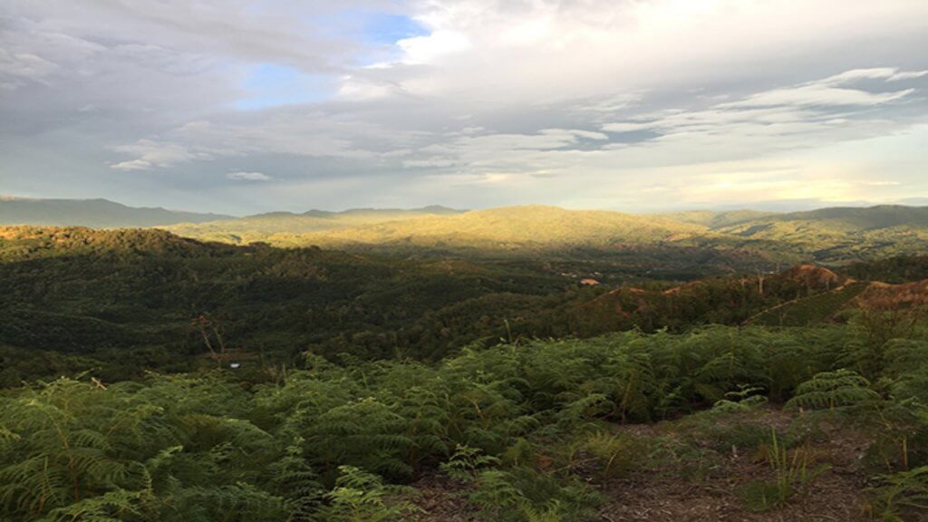 The Importance of WEEE Recycling and How It Helps the Environment