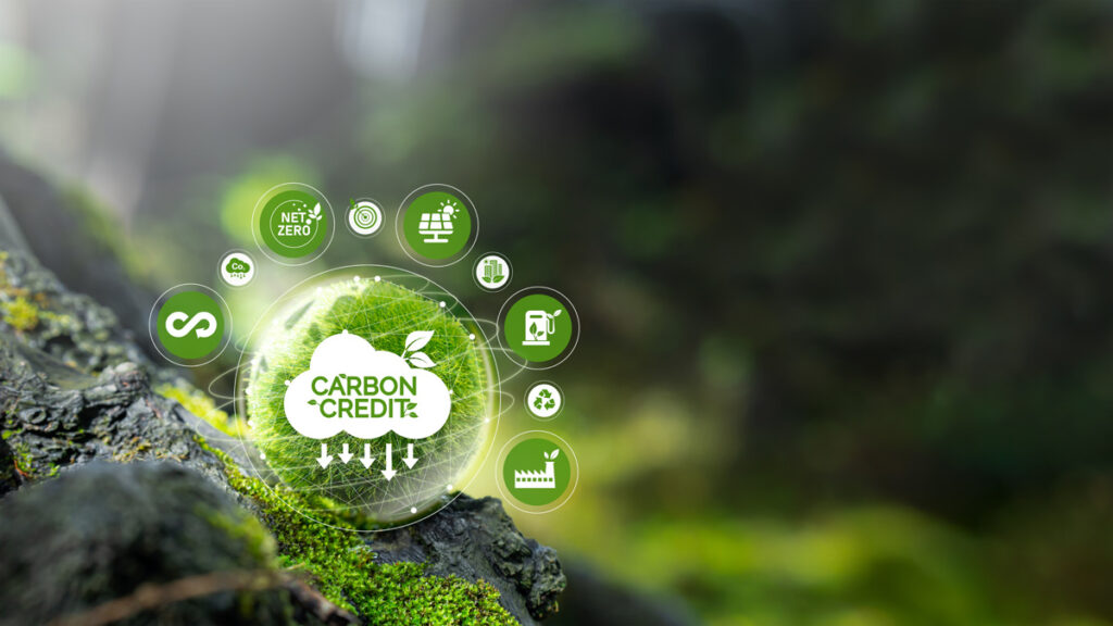 Effective Strategies for Workplace Carbon Management: Tips for a Greener Future