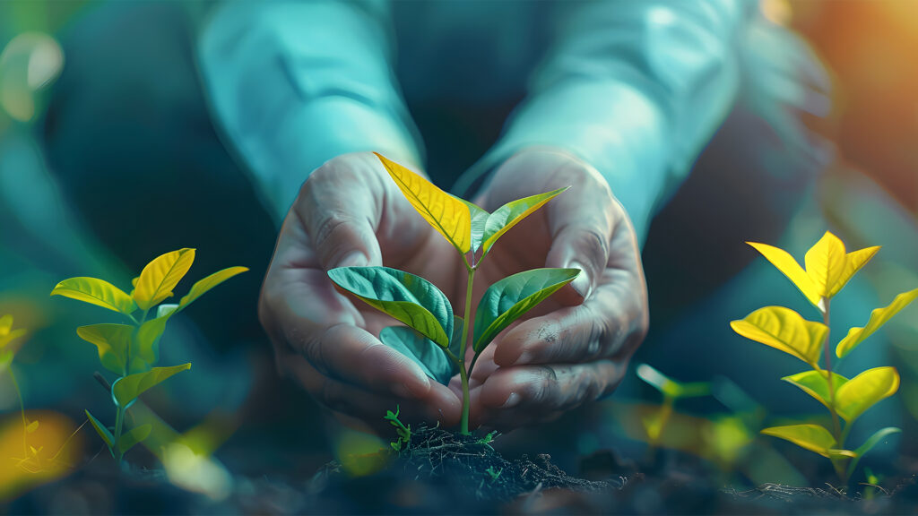 Green Business Blueprint: Strategies for an Eco-Friendly Start-up