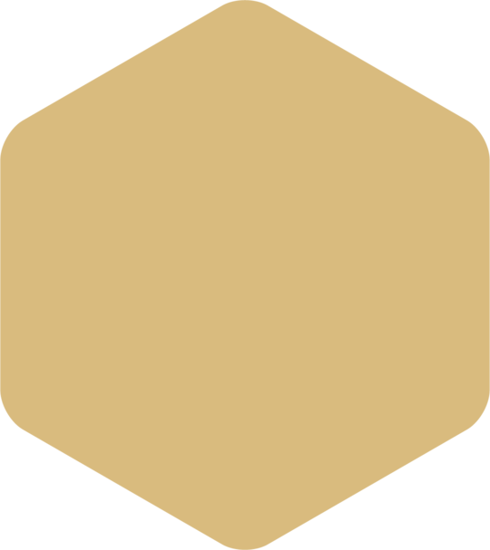 Hexagon decoration - gold