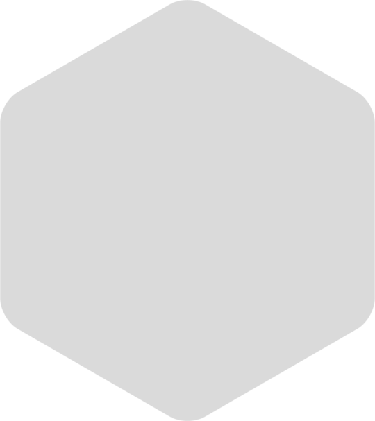 Hexagon decoration - grey