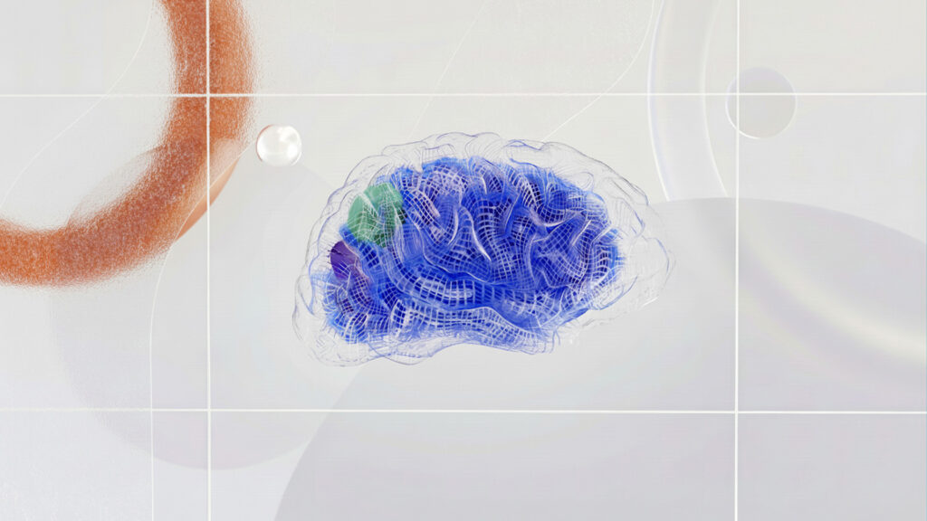 Centelli - feature image SME News article 2