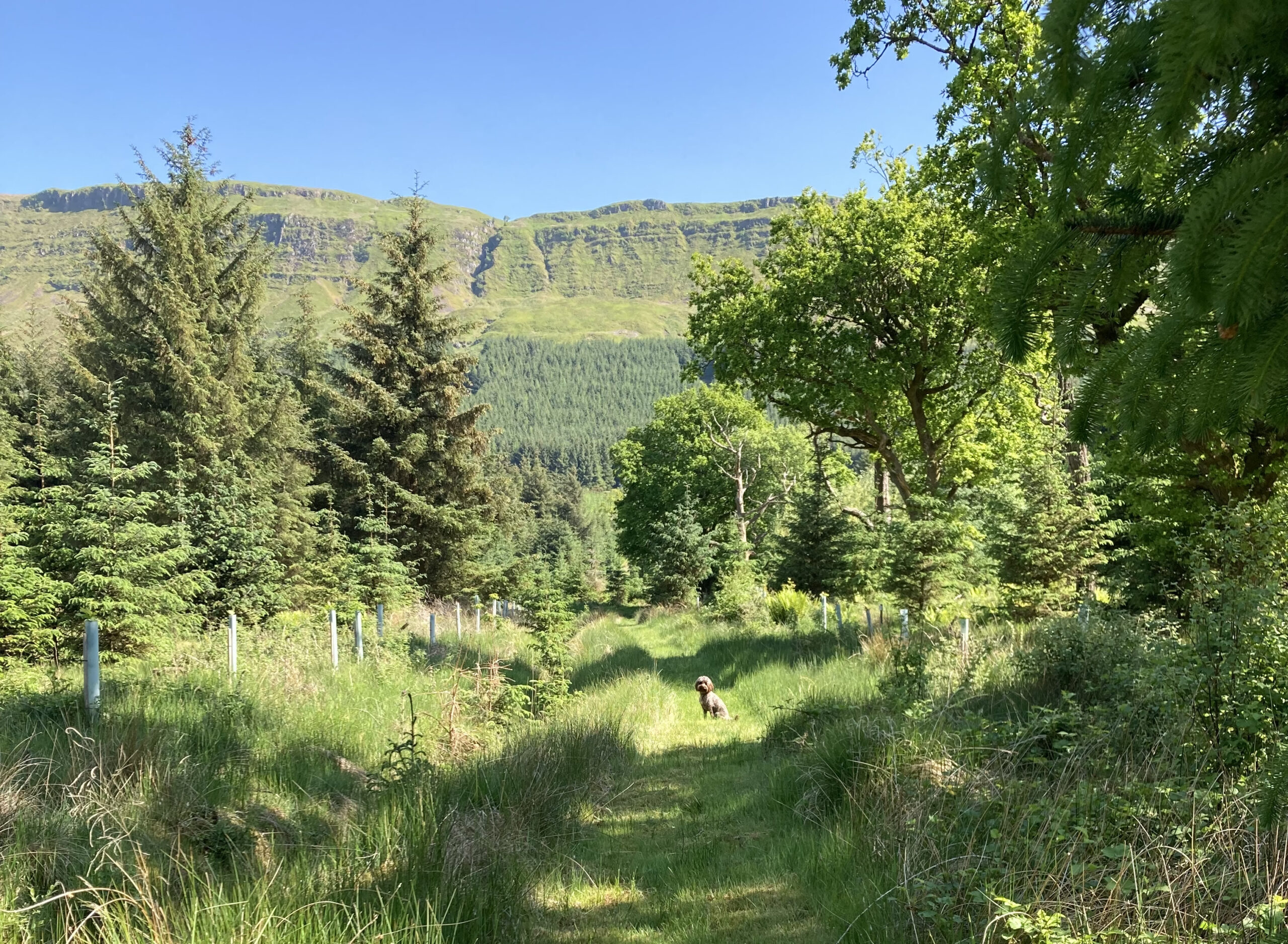 Winner small image - Garrique Cottage