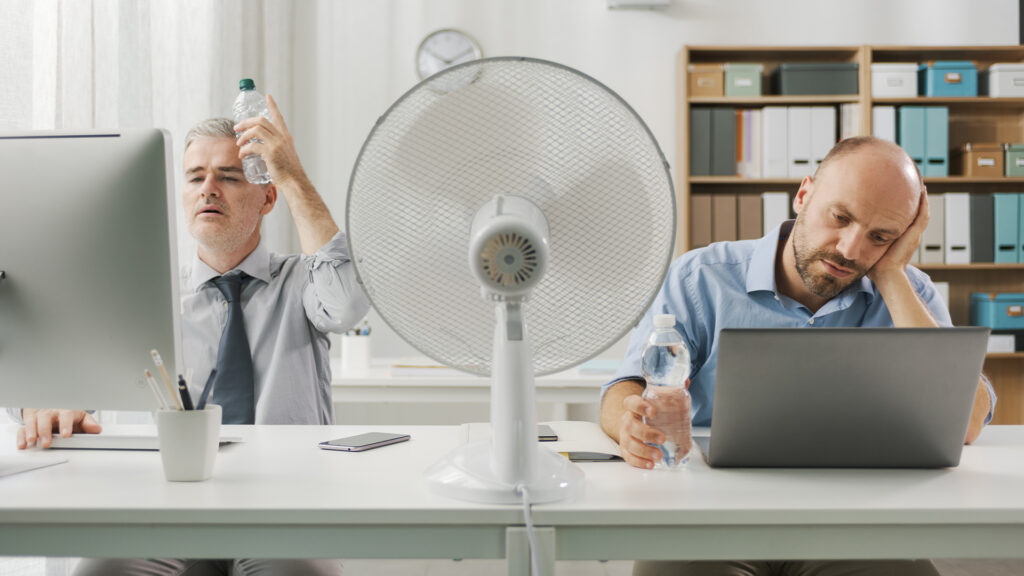 UK Heatwave: What Do Start-Ups and SMEs Need to Legally Do for Staff During Hot Weather?