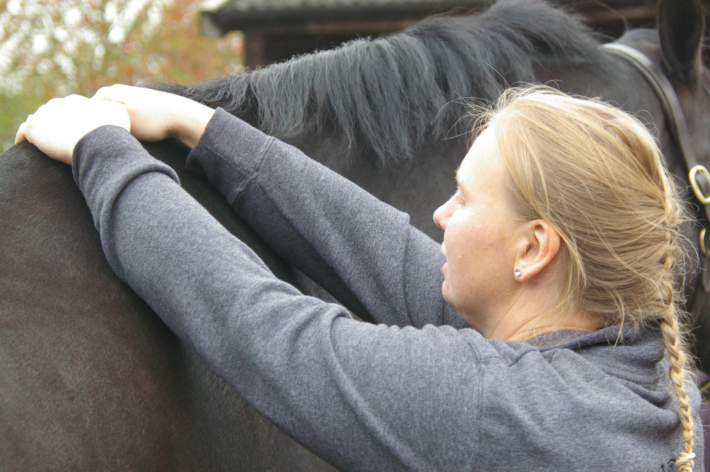 Winner small image - The Horse Physio