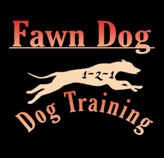 Winner small image - Fawn Dog 1-2-1 Dog Training