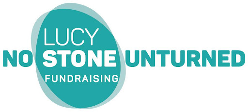 Winner small image - No Stone Unturned Fundraising Ltd