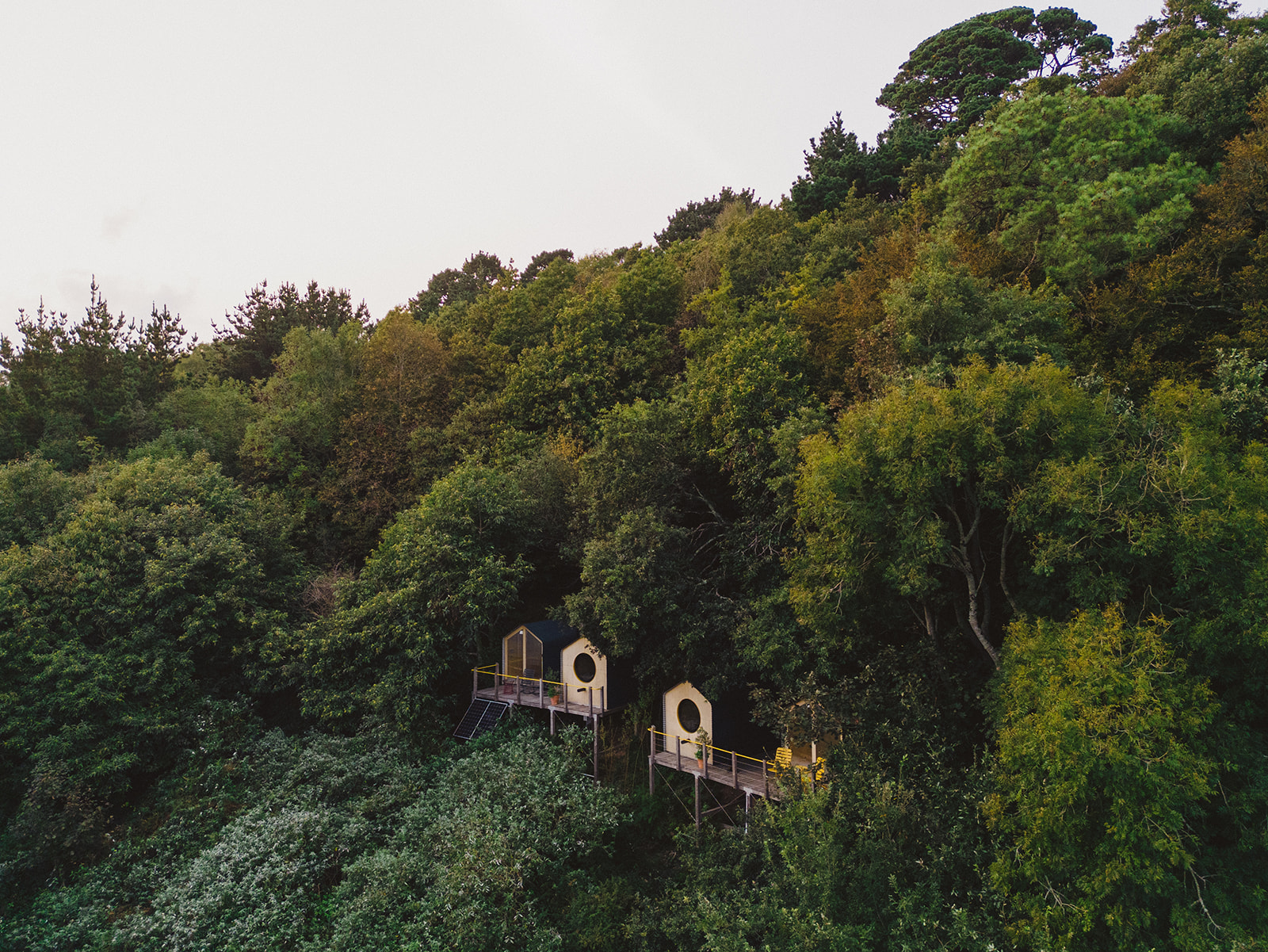 Winner small image - wildcomfort | Devon