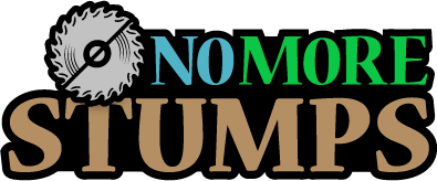 Winner small image - No More Stumps Ltd