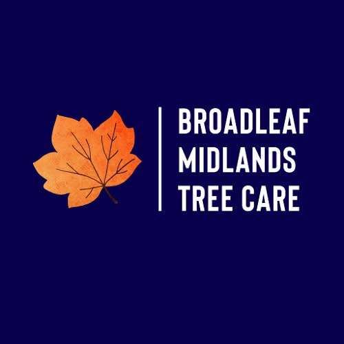 Winner small image - Broadleaf Midlands Tree Care