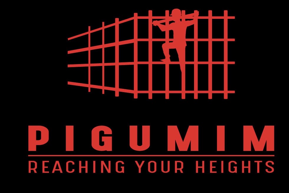 Winner small image - Pigumim (scaffolding) Ltd