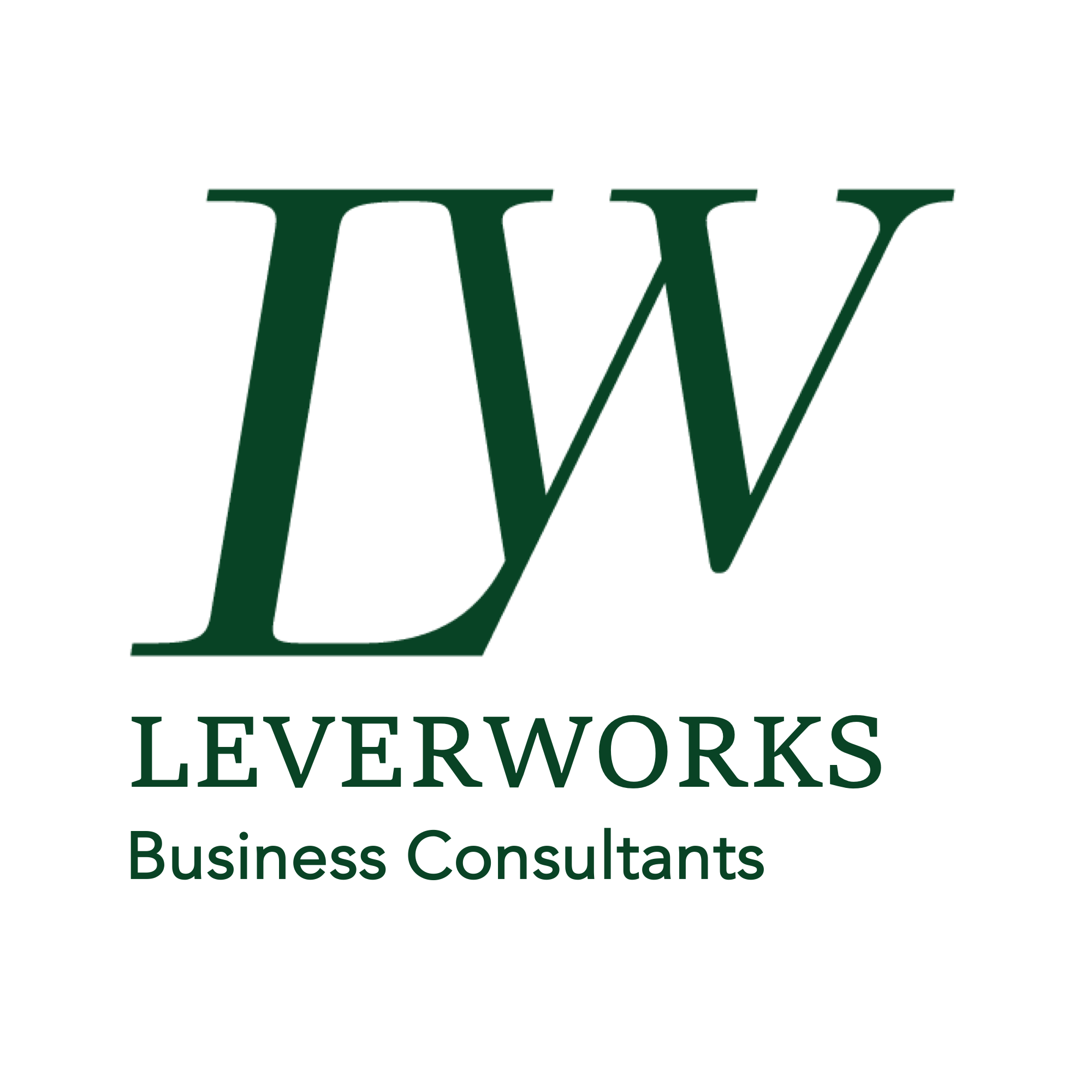 Winner small image - Leverworks Limited