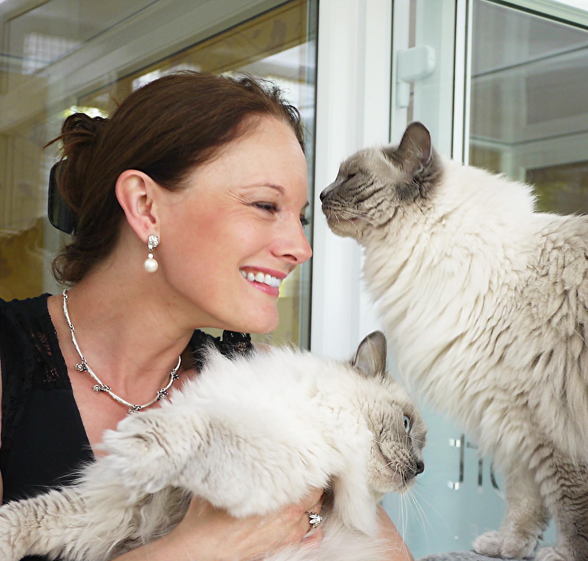 Winner small image - Longcroft Luxury Cat Hotel