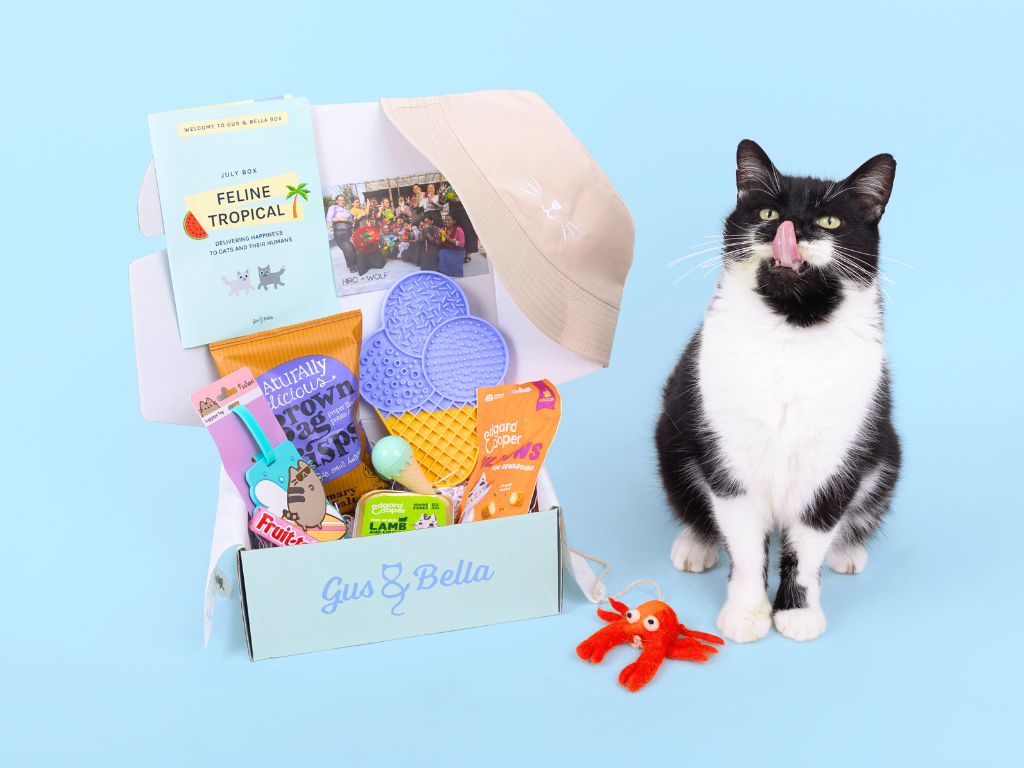 Winner small image - Gus and Bella Box