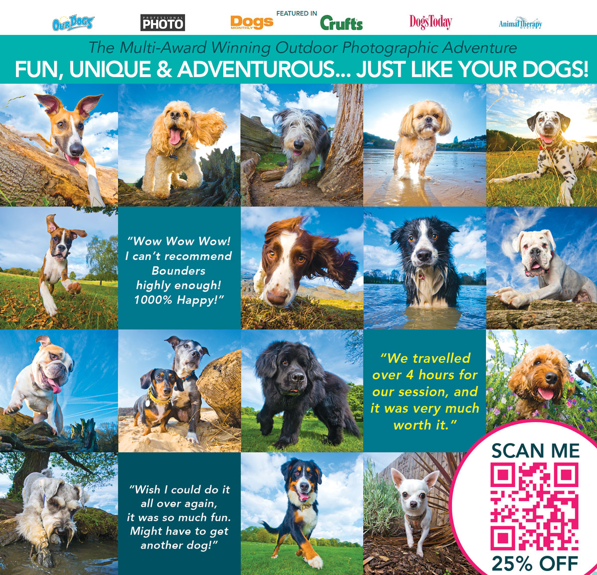 Winner small image - Bounders Dog Photography