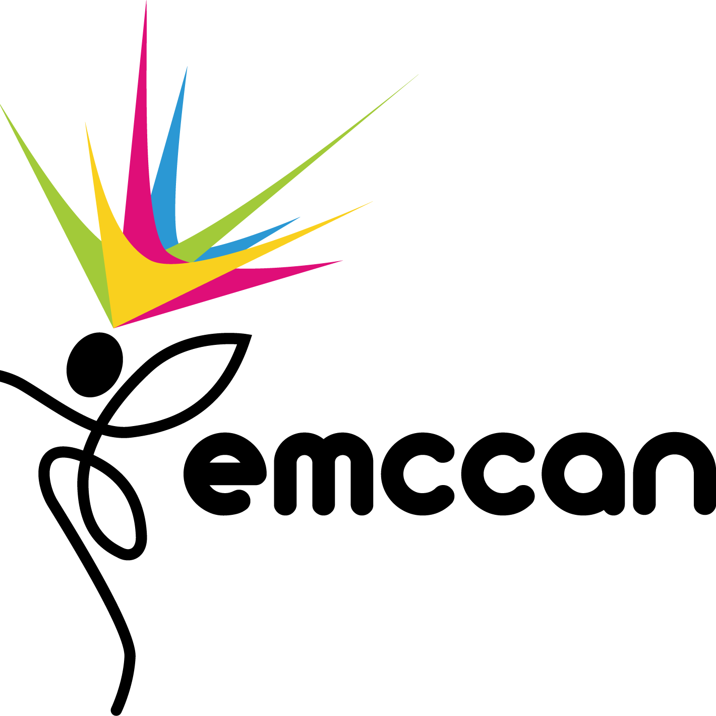 Winner small image - EMCCAN