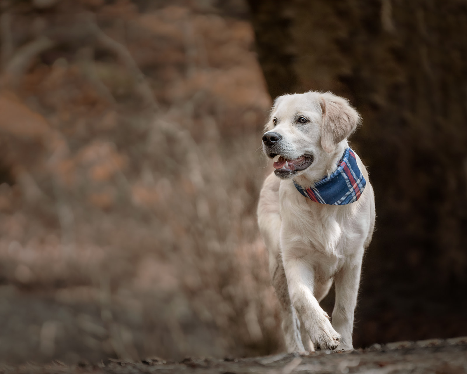 Winner small image - Alan Dukes Photography