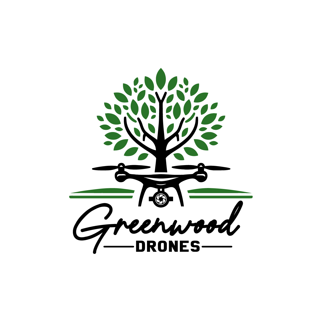 Winner small image - Greenwood Drones