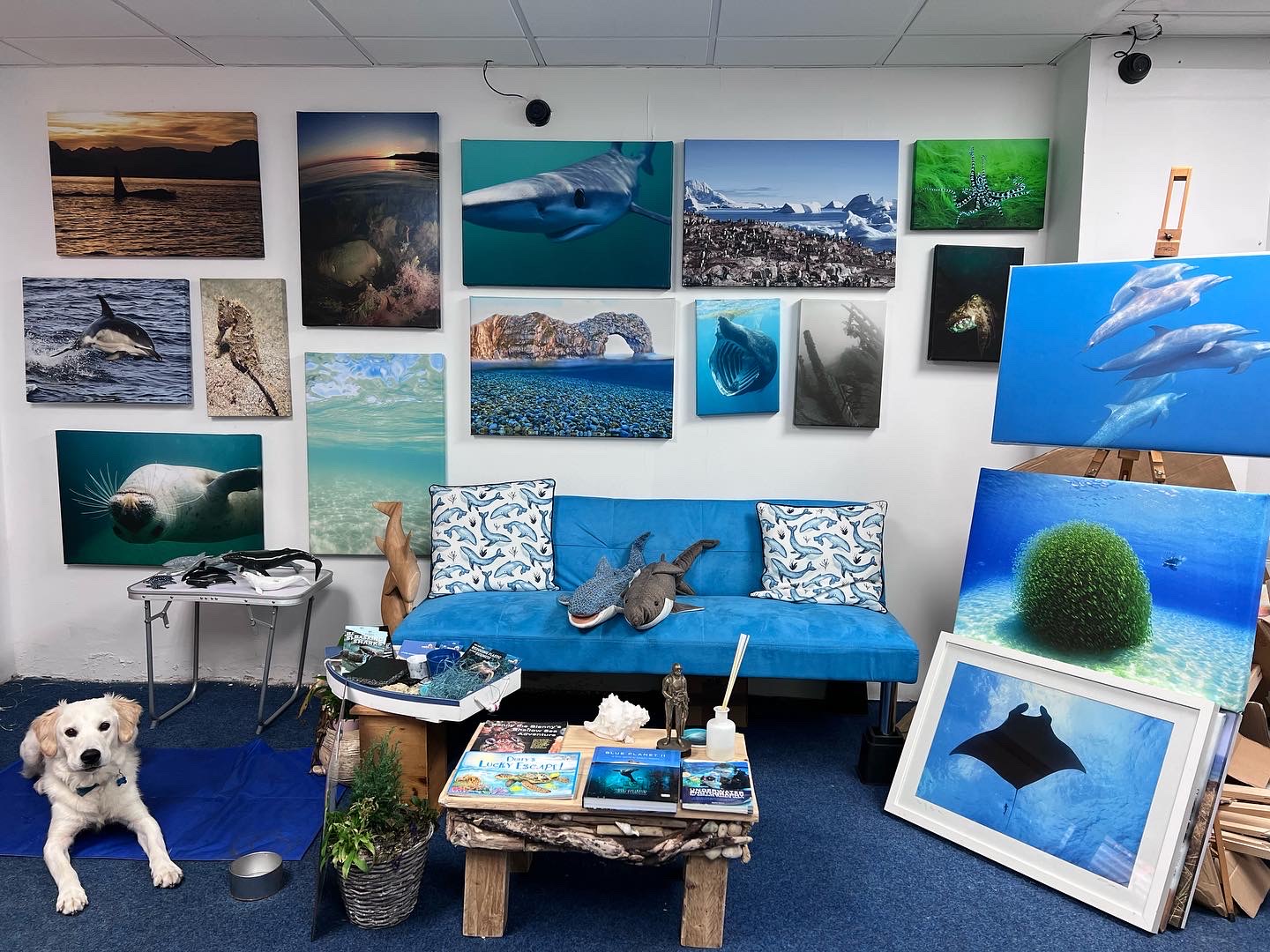 Winner small image - The Ocean Studio