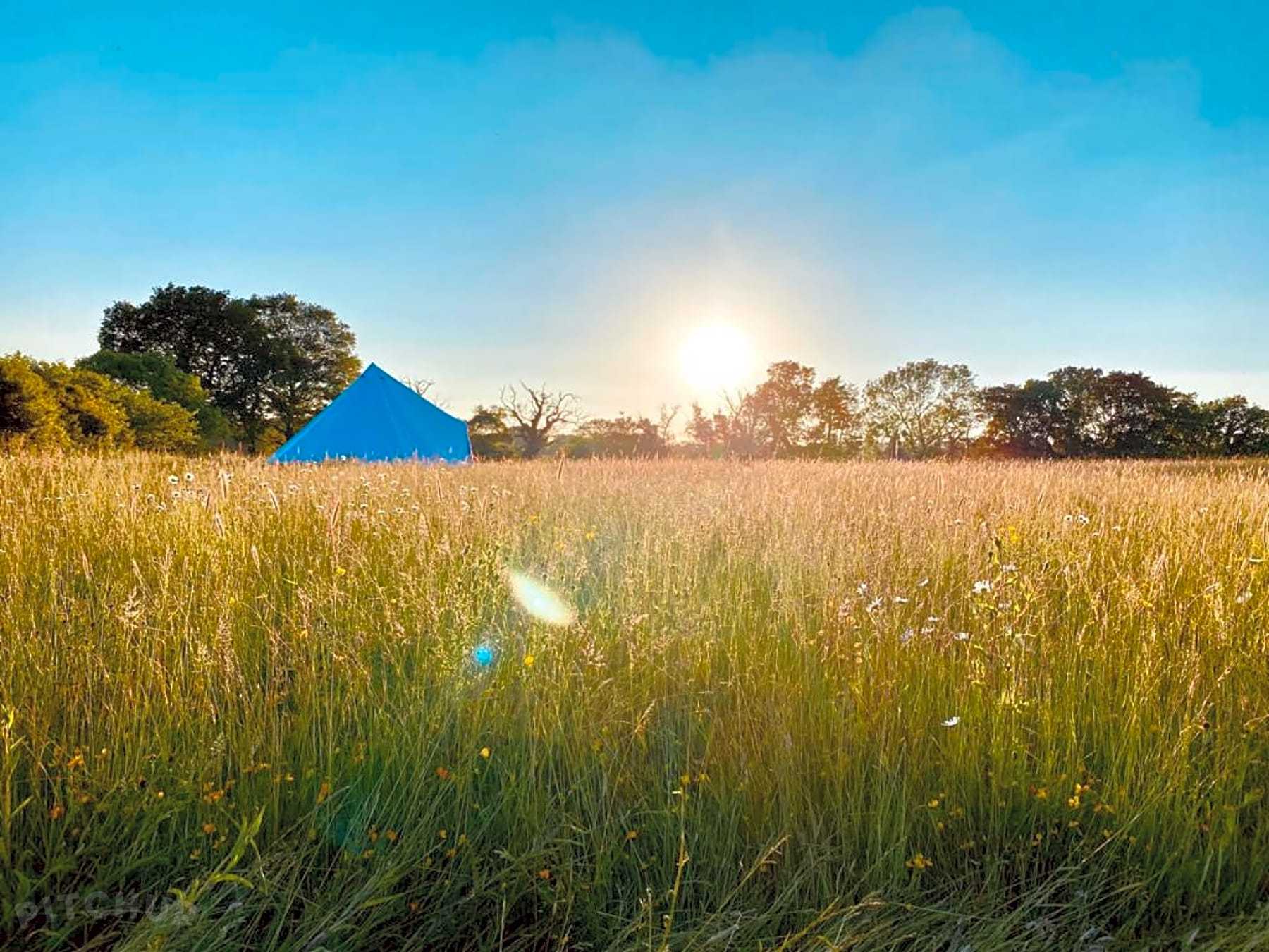 Winner small image - Little Elses