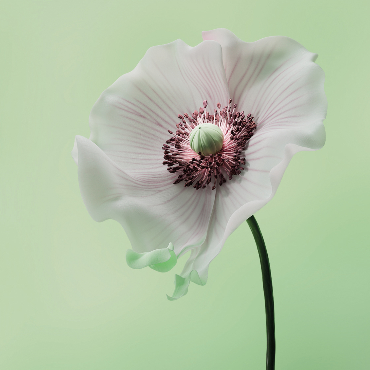 Winner small image - Futuredeluxe