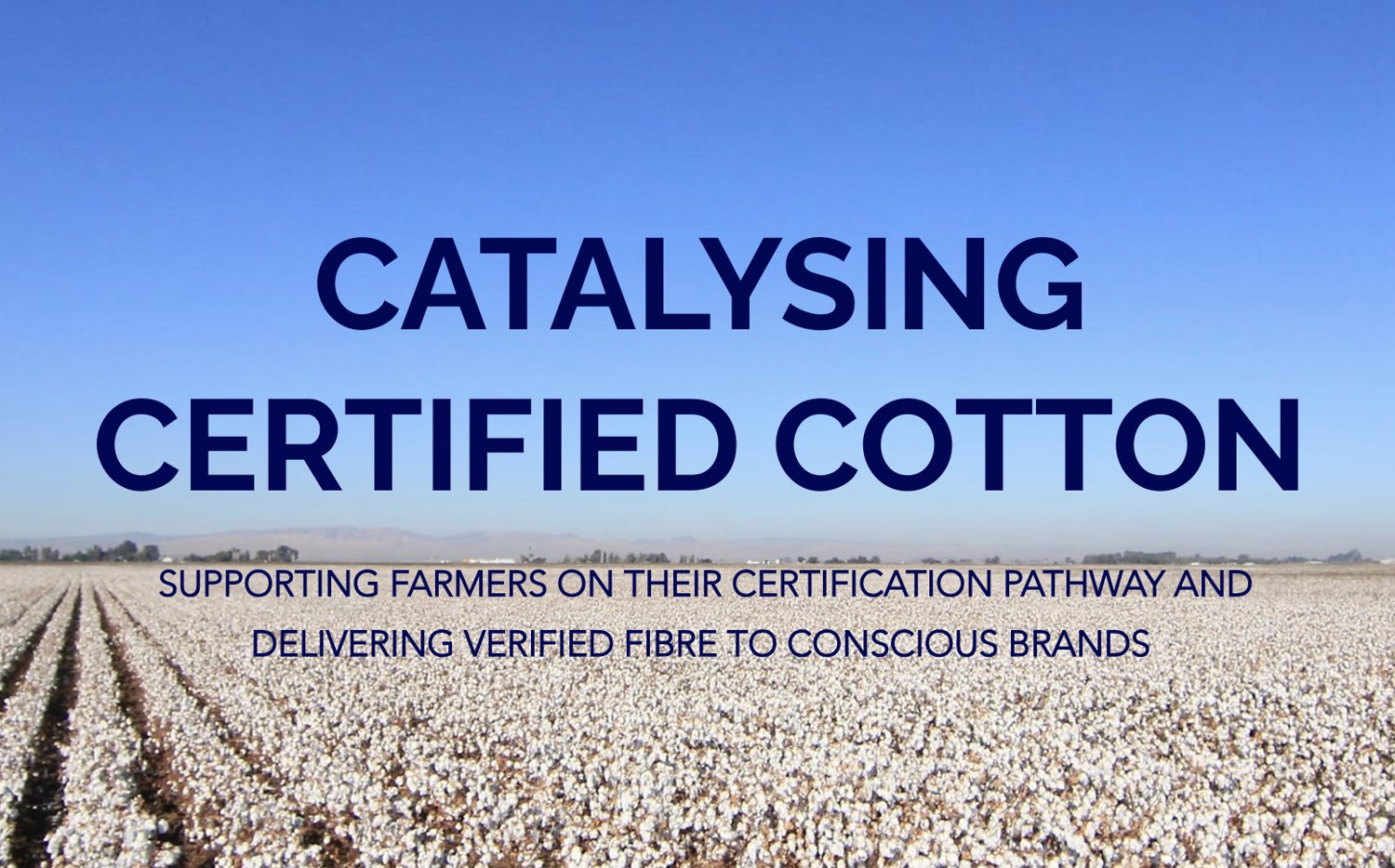 Winner small image - BIOTHREAD