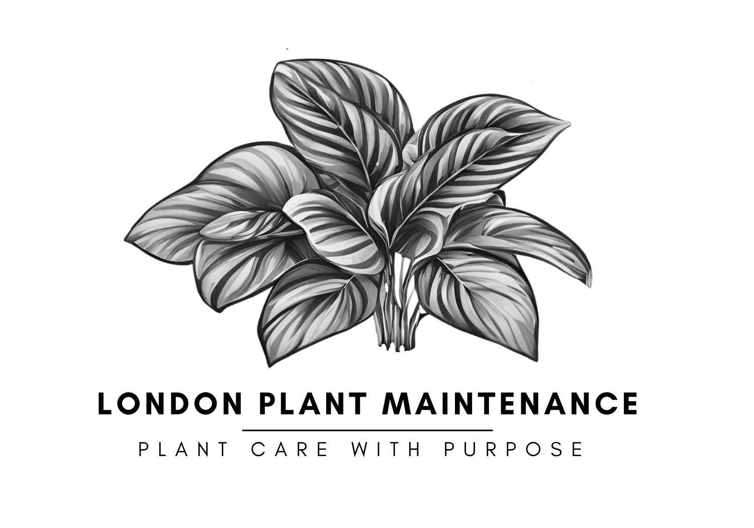 Winner small image - London Plant Maintenance