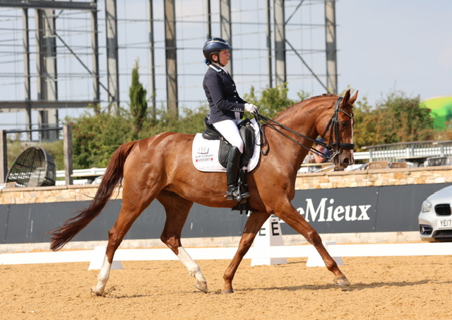 Winner small image - Witham Villa Riding Centre