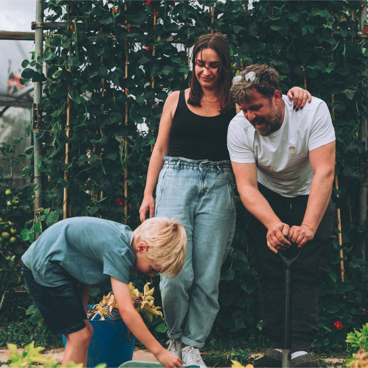 Winner small image - SeedFolk