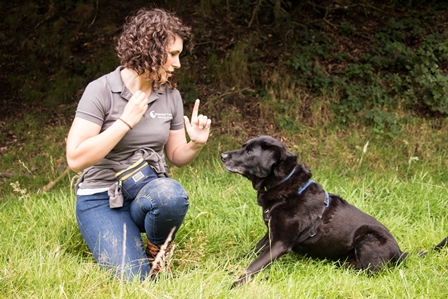 Winner small image - The Puppy Nanny