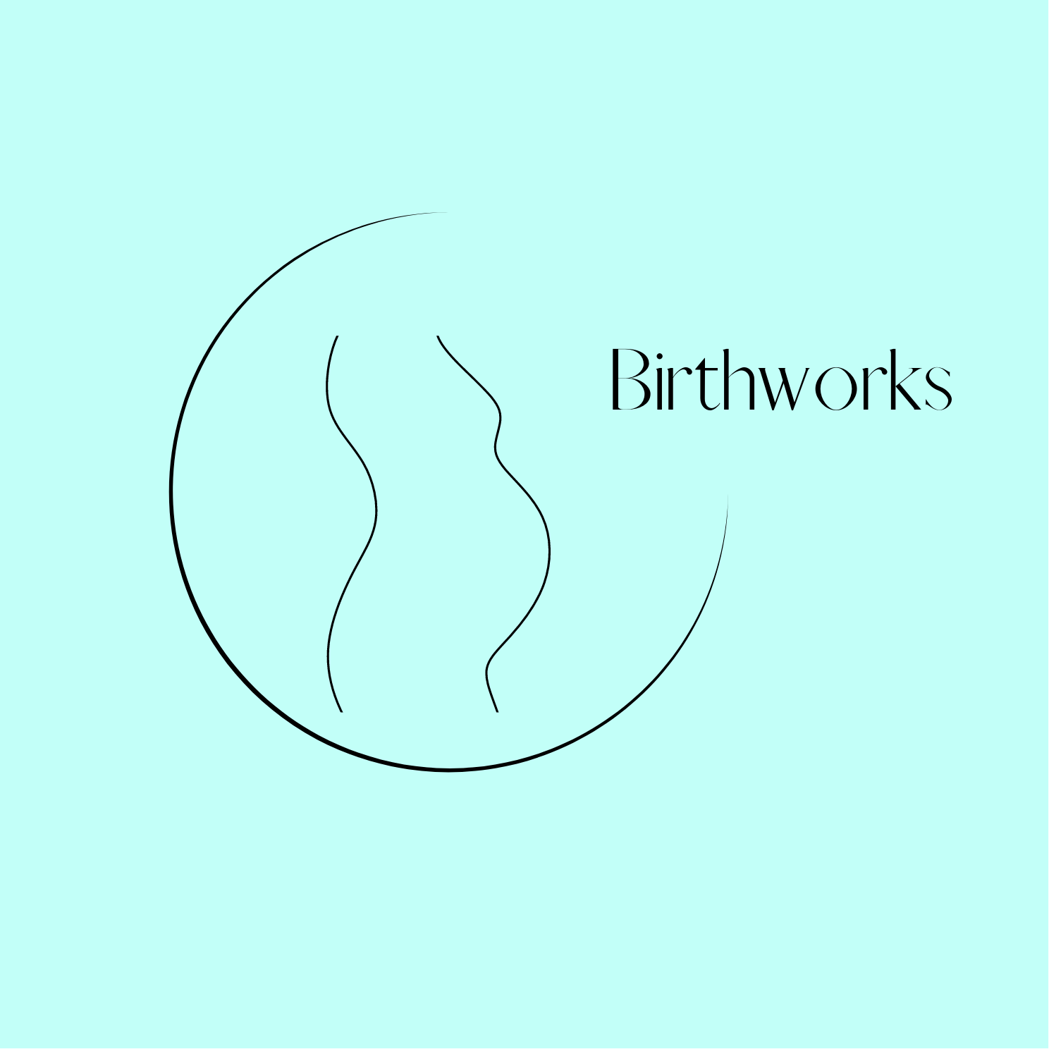 Winner small image - Birthworks