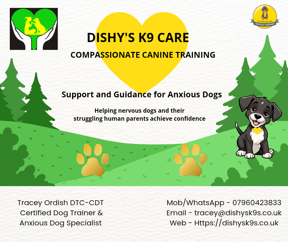 Winner small image - Dishys K9 Care