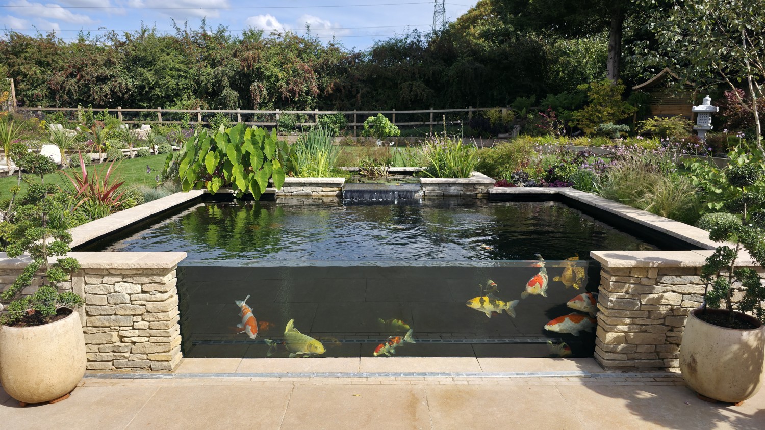 Winner small image - That Pond Guy