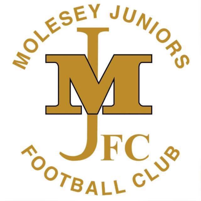 Winner small image - Molesey Juniors