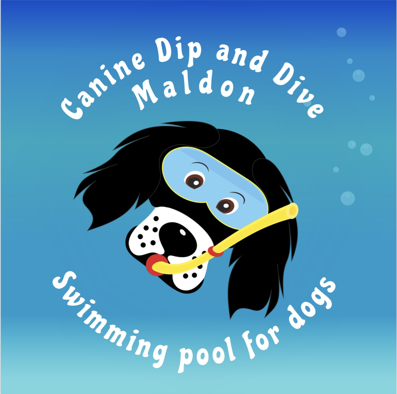 Winner small image - Canine Dip & Dive Maldon
