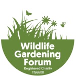 Winner small image - WLGF