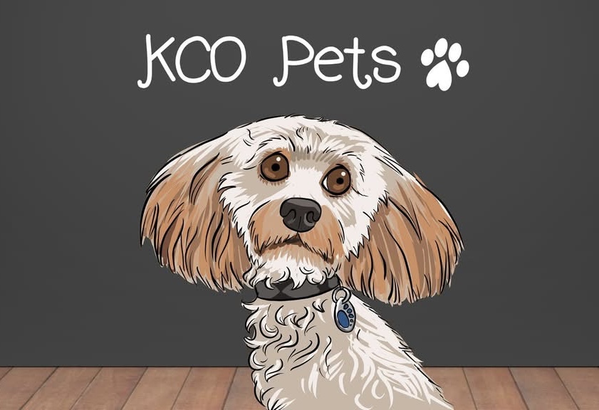 Winner small image - KCO Pets