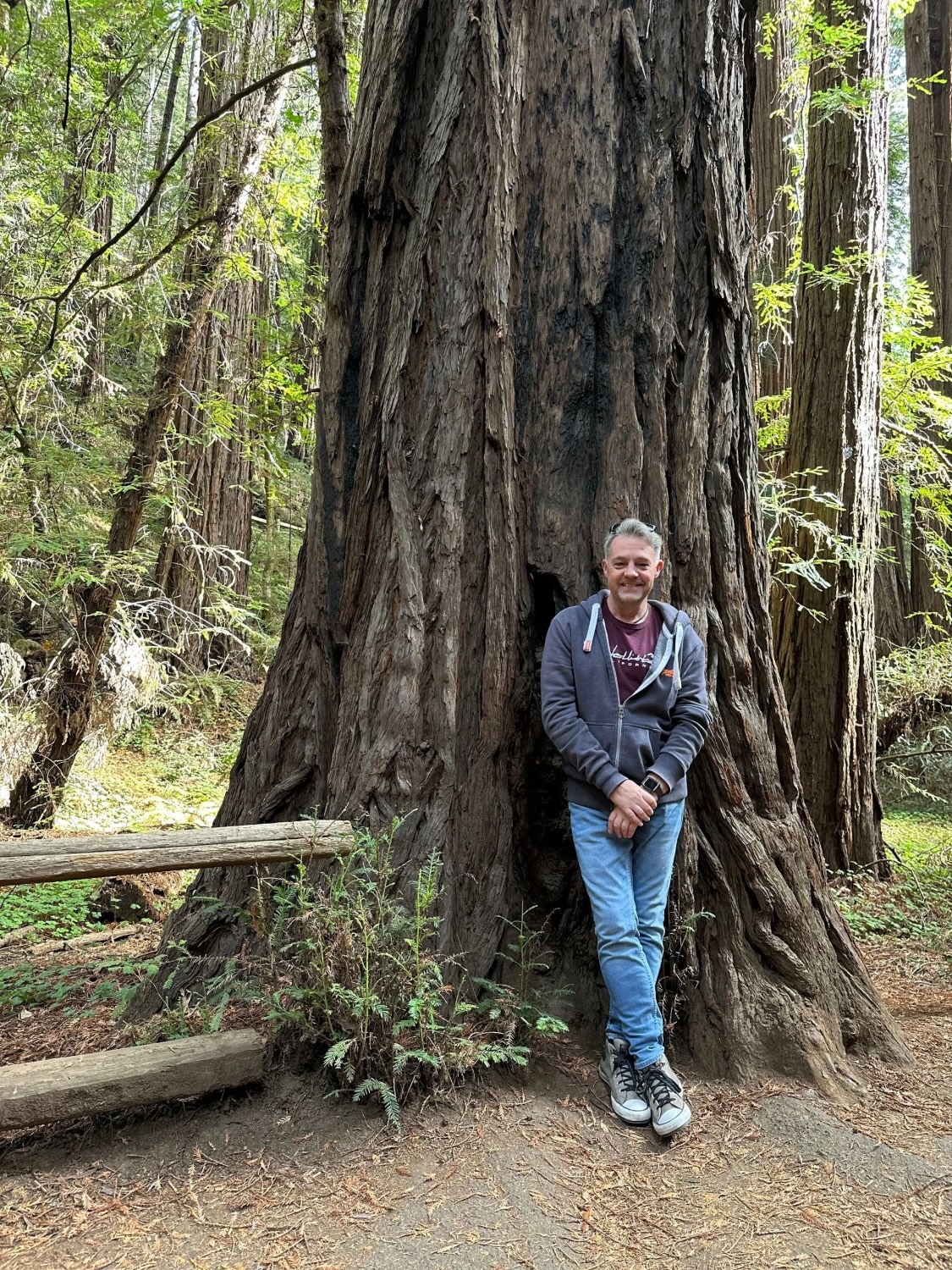 Winner small image - Novium Travel Ltd