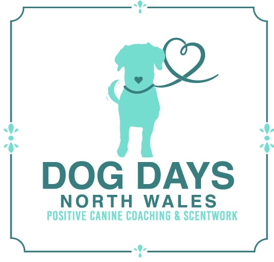Winner small image - Dog Days North Wales