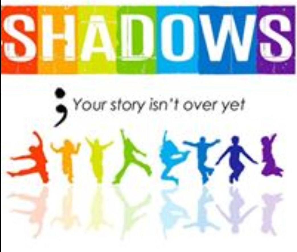Winner small image - Shadows Depression Support Group Ltd (Not For Profit)