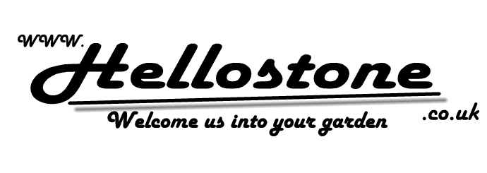 Winner small image - Hellostone