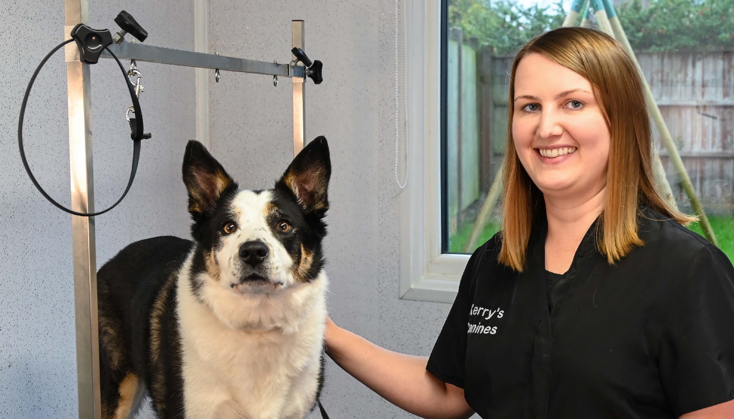 Winner small image - Kerry’s Canines