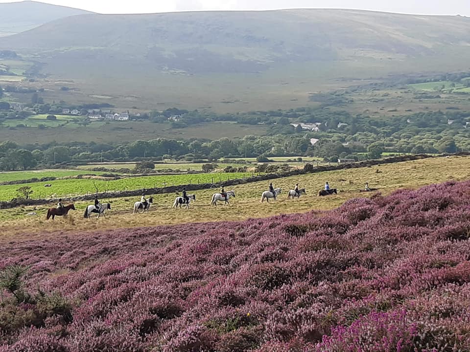 Winner small image - Preseli Pony Trekking