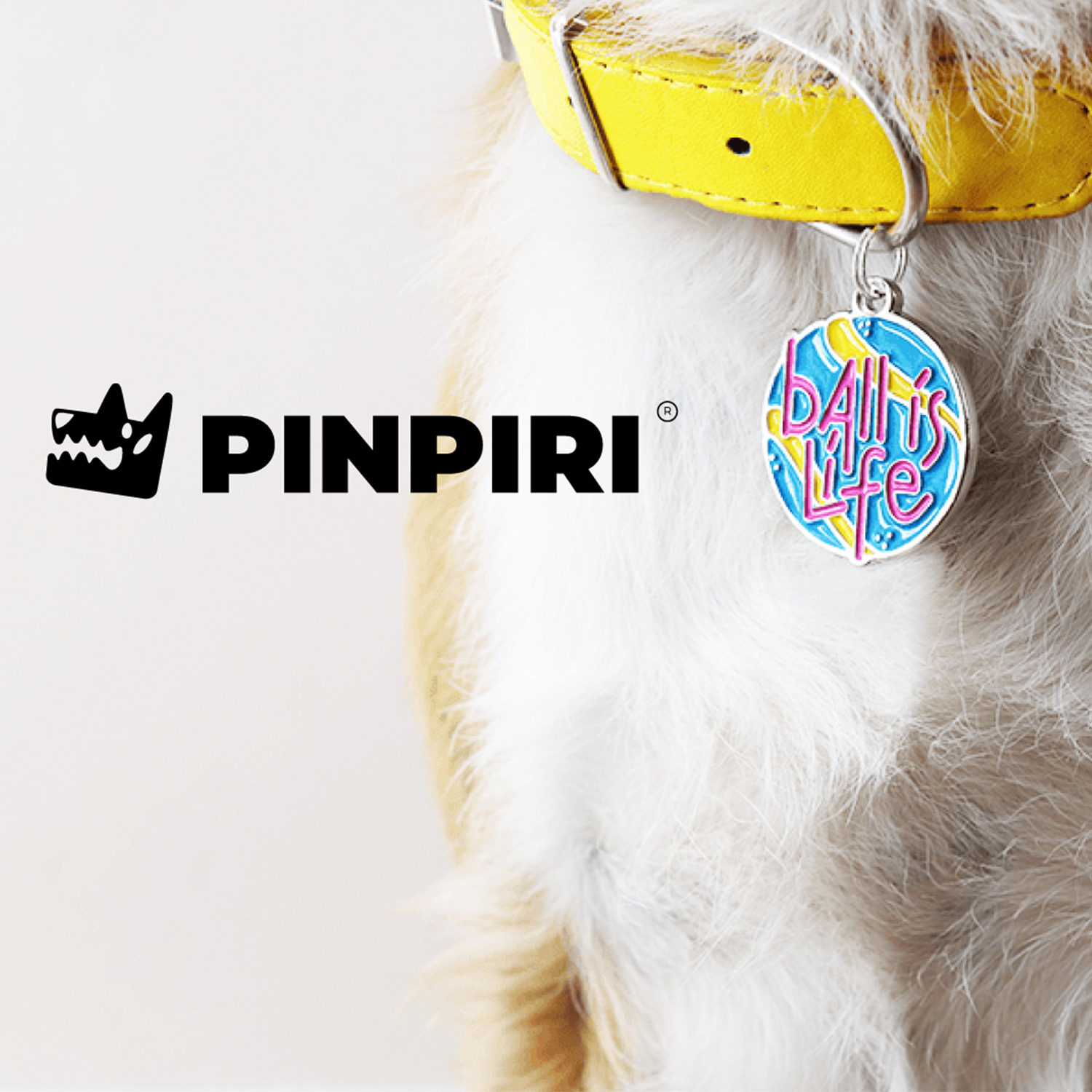 Winner small image - Pinpiri Limited