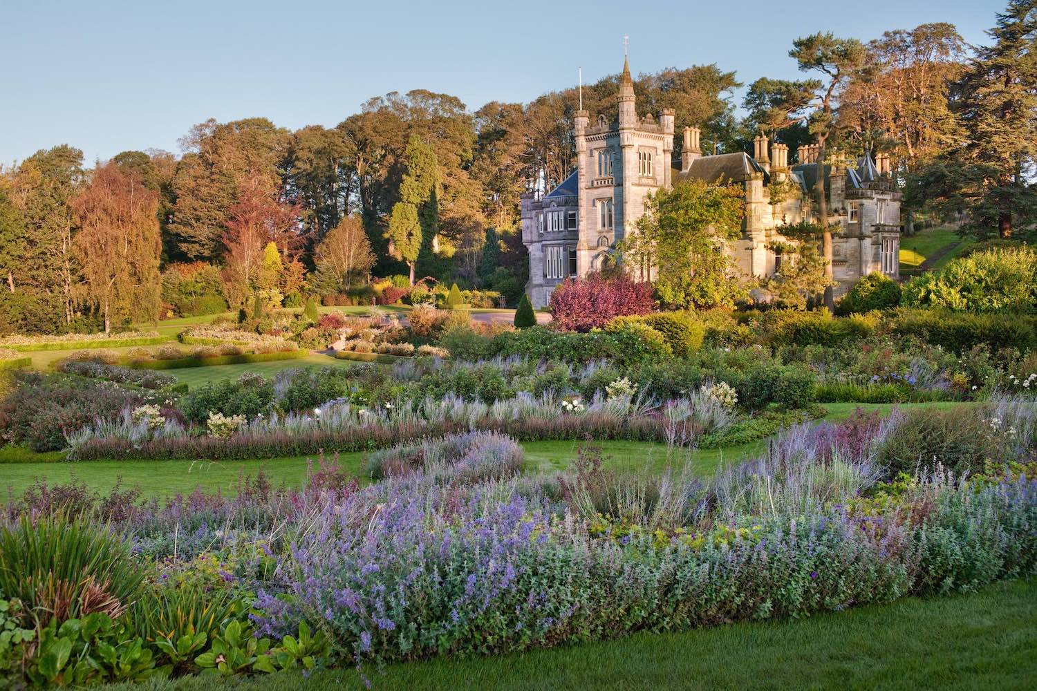 Winner small image - Teasses