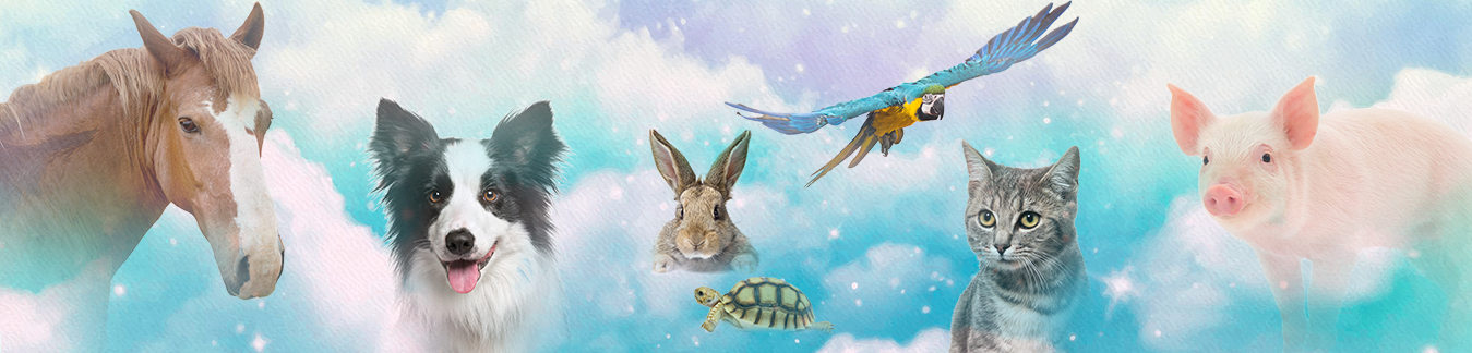 Winner small image - I Speak with Animals